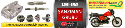 ETZ 125, 150 MOTOR GRUBU