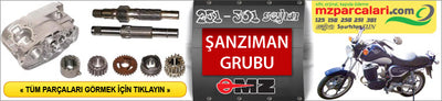 SEYHAN 251, 301 MOTOR GRUBU
