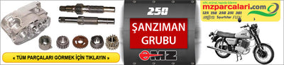 ETZ 250 MOTOR GRUBU