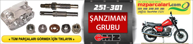 ETZ 251, 301 MOTOR GRUBU