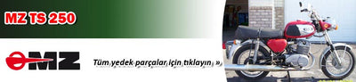 MZ TS 250